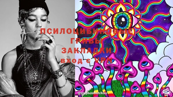 apvp Покров