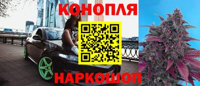 гидропоника Апшеронск