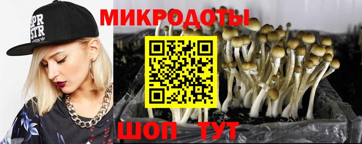 Галлюциногенные грибы Magic Shrooms Мурманск