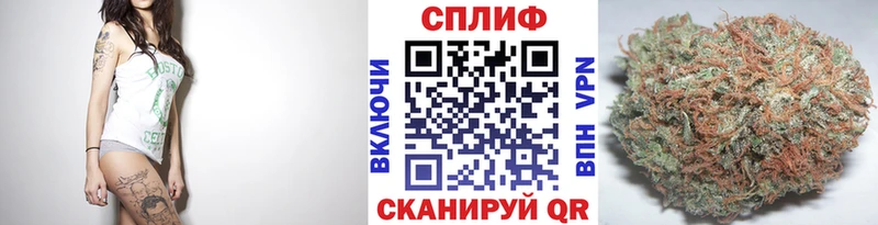blacksprut зеркало Мурманск Конопля ГИДРОПОН